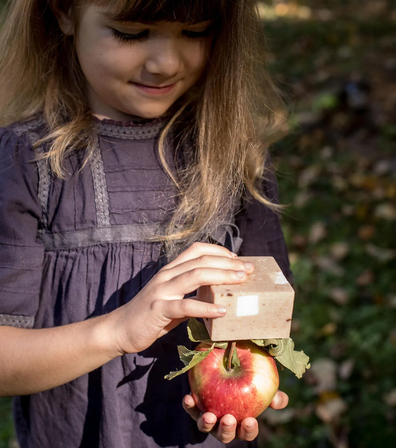 Apple Crisp Soap