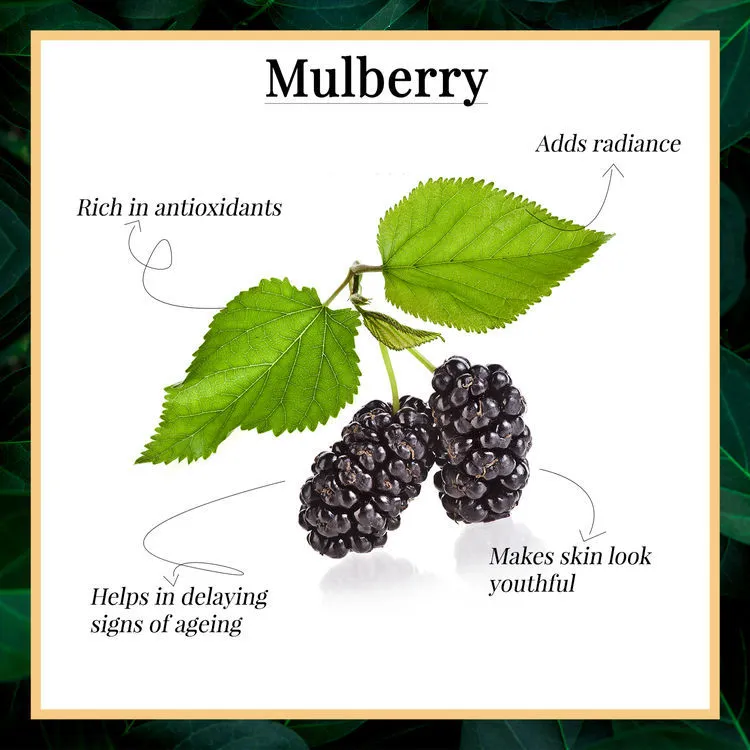 Glow Toner - Mulberry (120 ml)