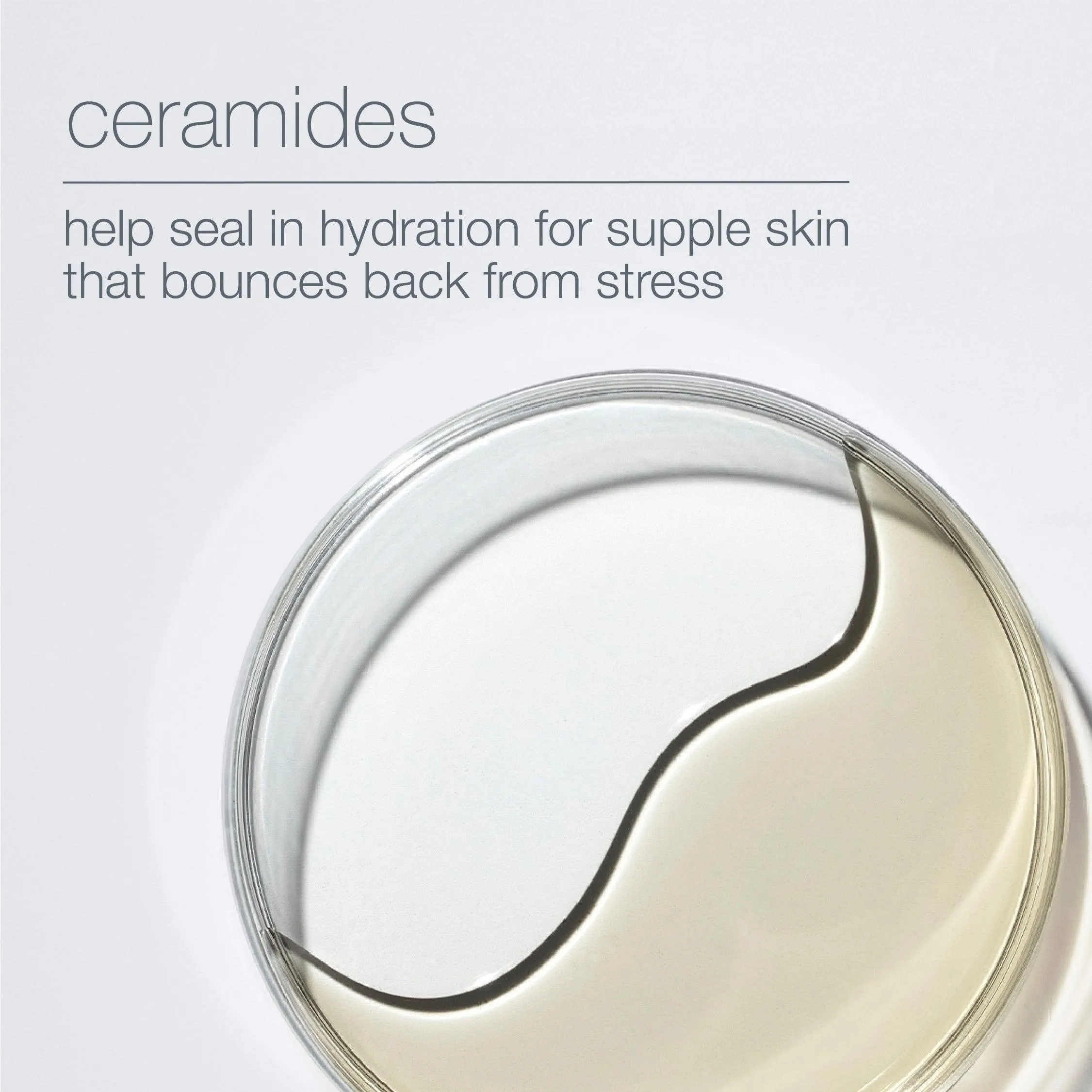 hyaluronic ceramide mist