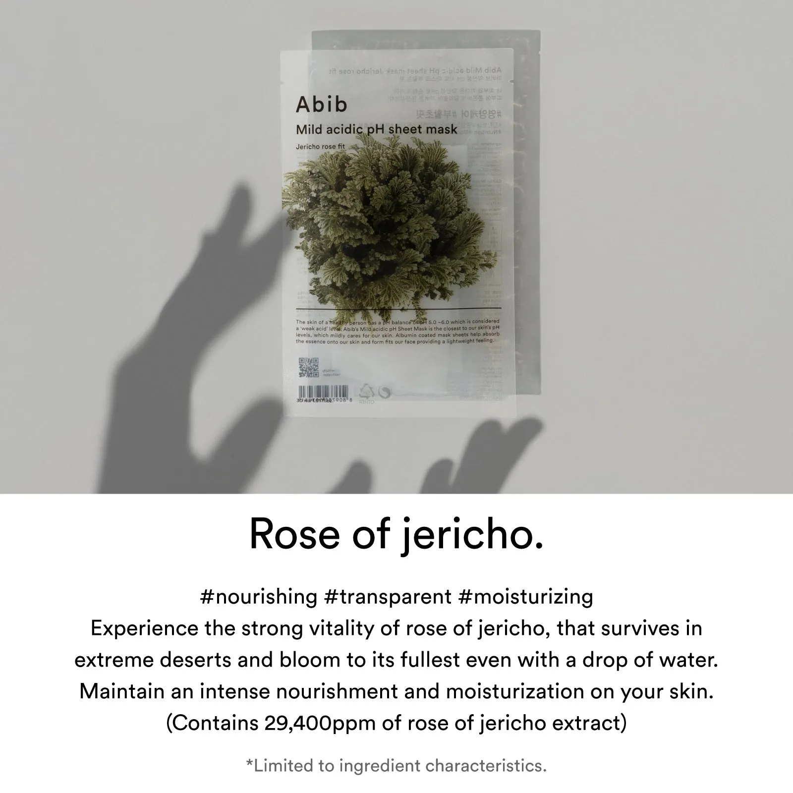 Jericho rose fit (10 sheets)